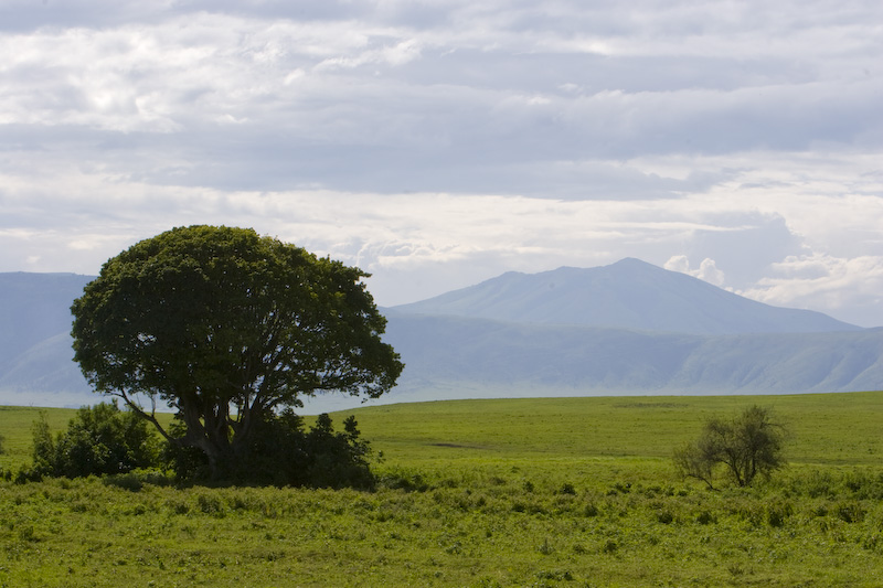 Looking Across Ngorongoro Crater